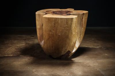  Costantini Design Carved Trunk Solid Exotic Wood Live Edge Table 43 from Costantini Francisco