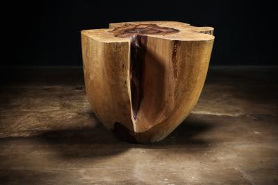  Costantini Design Carved Trunk Solid Exotic Wood Live Edge Table 43 from Costantini Francisco