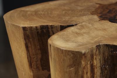  Costantini Design Carved Trunk Solid Exotic Wood Live Edge Table 43 from Costantini Francisco