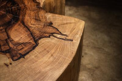  Costantini Design Carved Trunk Solid Exotic Wood Live Edge Table 43 from Costantini Francisco