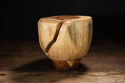  Costantini Design Carved Trunk Solid Exotic Wood Live Edge Table 44 from Costantini Francisco