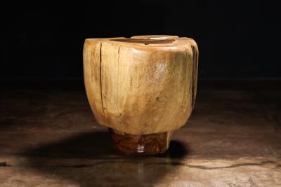  Costantini Design Carved Trunk Solid Exotic Wood Live Edge Table 44 from Costantini Francisco