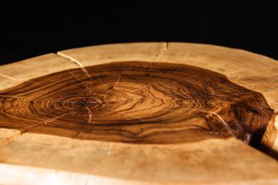  Costantini Design Carved Trunk Solid Exotic Wood Live Edge Table 44 from Costantini Francisco