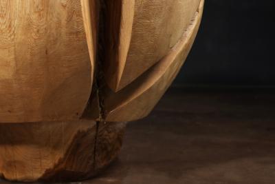  Costantini Design Carved Trunk Solid Exotic Wood Live Edge Table 44 from Costantini Francisco