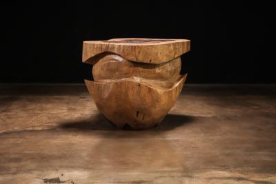  Costantini Design Carved Trunk Solid Exotic Wood Live Edge Table 45 from Costantini Francisco