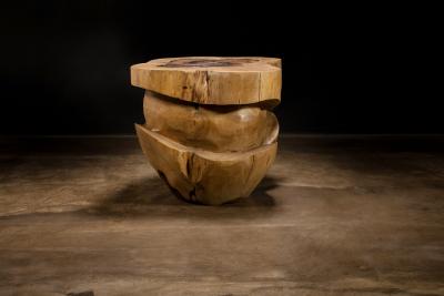  Costantini Design Carved Trunk Solid Exotic Wood Live Edge Table 45 from Costantini Francisco
