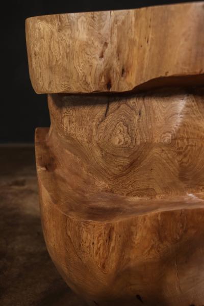  Costantini Design Carved Trunk Solid Exotic Wood Live Edge Table 45 from Costantini Francisco