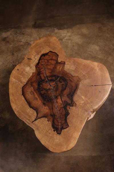  Costantini Design Carved Trunk Solid Exotic Wood Live Edge Table 45 from Costantini Francisco