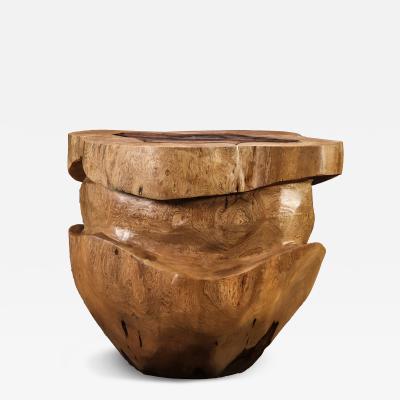  Costantini Design Carved Trunk Solid Exotic Wood Live Edge Table 45 from Costantini Francisco