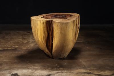 Costantini Design Carved Trunk Solid Exotic Wood Live Edge Table 46 from Costantini Francisco
