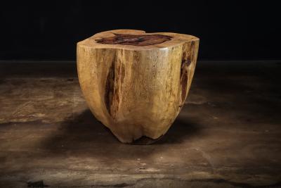  Costantini Design Carved Trunk Solid Exotic Wood Live Edge Table 46 from Costantini Francisco