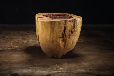  Costantini Design Carved Trunk Solid Exotic Wood Live Edge Table 46 from Costantini Francisco