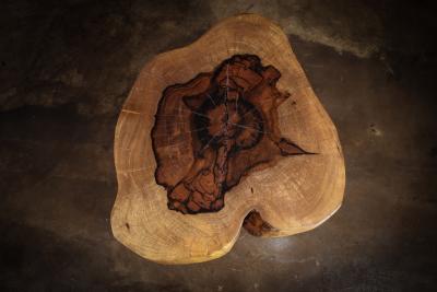  Costantini Design Carved Trunk Solid Exotic Wood Live Edge Table 46 from Costantini Francisco