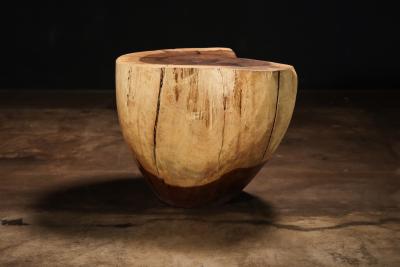  Costantini Design Carved Trunk Solid Exotic Wood Live Edge Table 47 from Costantini Francisco