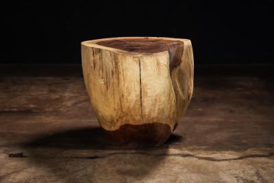  Costantini Design Carved Trunk Solid Exotic Wood Live Edge Table 47 from Costantini Francisco