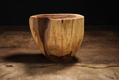  Costantini Design Carved Trunk Solid Exotic Wood Live Edge Table 47 from Costantini Francisco