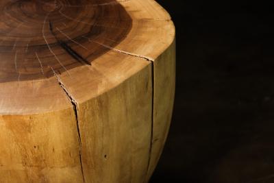  Costantini Design Carved Trunk Solid Exotic Wood Live Edge Table 47 from Costantini Francisco