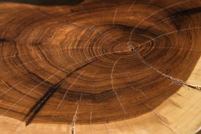  Costantini Design Carved Trunk Solid Exotic Wood Live Edge Table 47 from Costantini Francisco