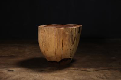  Costantini Design Carved Trunk Solid Exotic Wood Live Edge Table 48 from Costantini Francisco