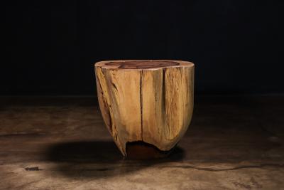  Costantini Design Carved Trunk Solid Exotic Wood Live Edge Table 48 from Costantini Francisco