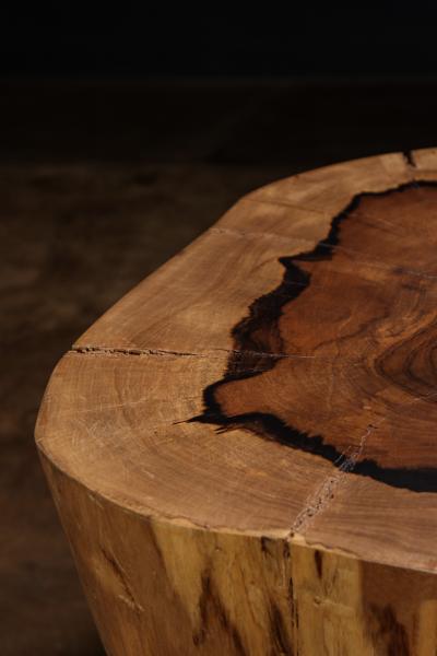  Costantini Design Carved Trunk Solid Exotic Wood Live Edge Table 48 from Costantini Francisco