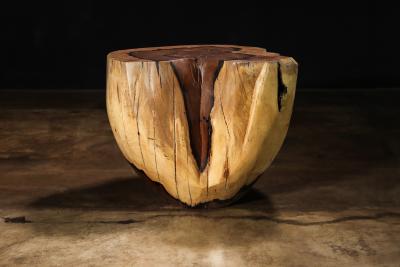  Costantini Design Carved Trunk Solid Exotic Wood Live Edge Table 49 from Costantini Francisco