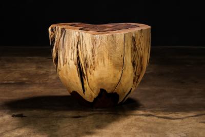  Costantini Design Carved Trunk Solid Exotic Wood Live Edge Table 49 from Costantini Francisco