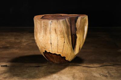  Costantini Design Carved Trunk Solid Exotic Wood Live Edge Table 49 from Costantini Francisco