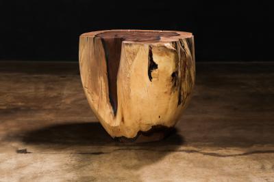  Costantini Design Carved Trunk Solid Exotic Wood Live Edge Table 49 from Costantini Francisco