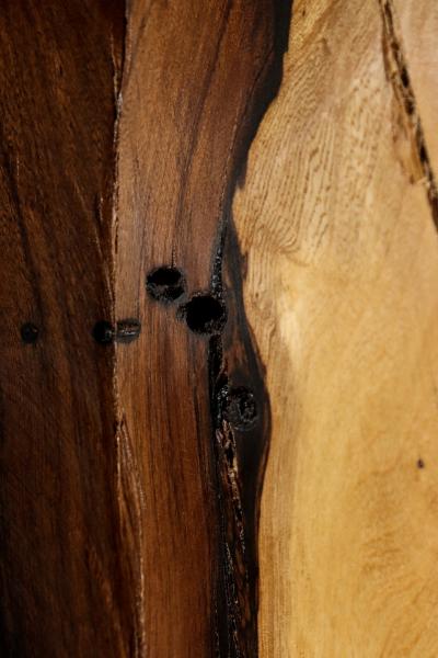  Costantini Design Carved Trunk Solid Exotic Wood Live Edge Table 49 from Costantini Francisco