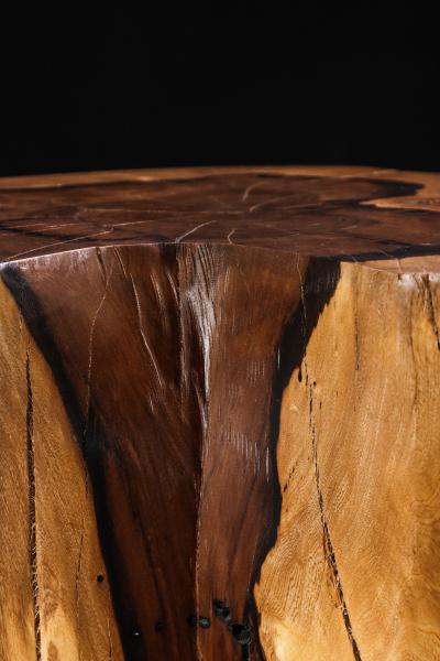  Costantini Design Carved Trunk Solid Exotic Wood Live Edge Table 49 from Costantini Francisco