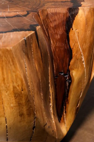  Costantini Design Carved Trunk Solid Exotic Wood Live Edge Table 49 from Costantini Francisco