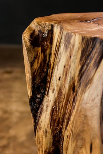  Costantini Design Carved Trunk Solid Exotic Wood Live Edge Table 49 from Costantini Francisco