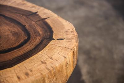  Costantini Design Costantini Hand Carved Live Edge Solid Wood Trunk Cocktail Table 31 In Stock