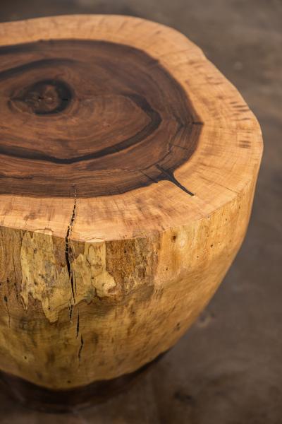  Costantini Design Costantini Hand Carved Live Edge Solid Wood Trunk Cocktail Table 31 In Stock