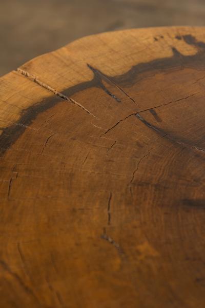  Costantini Design Costantini Hand Carved Live Edge Solid Wood Trunk Cocktail Table 33 In Stock