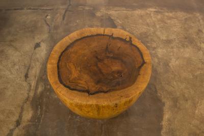  Costantini Design Costantini Hand Carved Live Edge Solid Wood Trunk Cocktail Table 33 In Stock