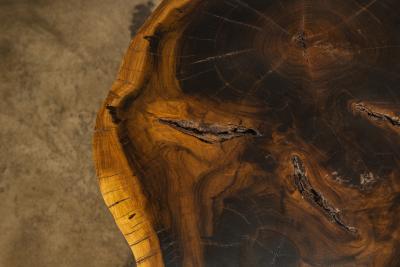  Costantini Design Costantini Hand Carved Live Edge Solid Wood Trunk Cocktail Table 34 In Stock