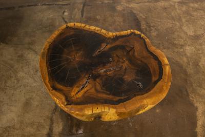  Costantini Design Costantini Hand Carved Live Edge Solid Wood Trunk Cocktail Table 34 In Stock