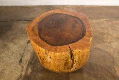  Costantini Design Costantini Hand Carved Live Edge Solid Wood Trunk Cocktail Table 35 In Stock