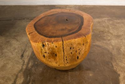  Costantini Design Costantini Hand Carved Live Edge Solid Wood Trunk Cocktail Table 35 In Stock