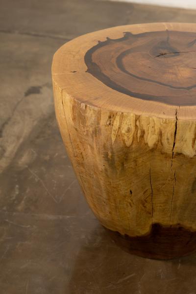  Costantini Design Costantini Hand Carved Live Edge Solid Wood Trunk Cocktail Table 36 In Stock