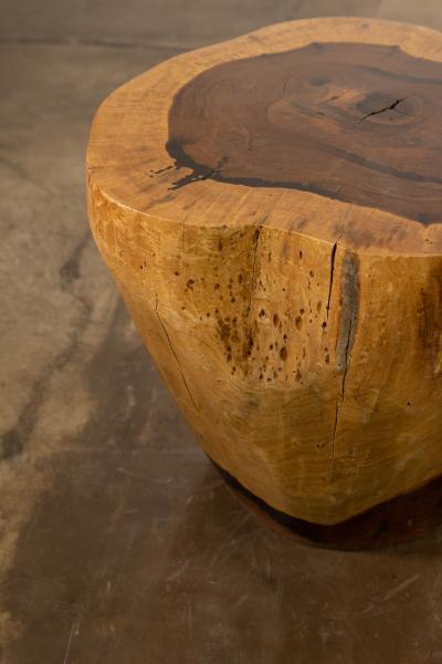  Costantini Design Costantini Hand Carved Live Edge Solid Wood Trunk Cocktail Table 37 In Stock
