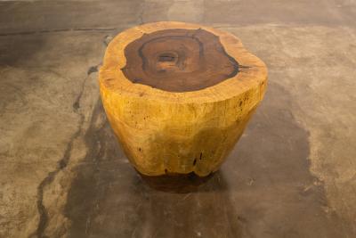  Costantini Design Costantini Hand Carved Live Edge Solid Wood Trunk Cocktail Table 37 In Stock