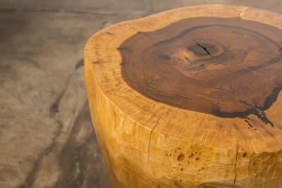  Costantini Design Costantini Hand Carved Live Edge Solid Wood Trunk Cocktail Table 37 In Stock