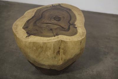  Costantini Design Hand Carved Live Edge Solid Wood Trunk Table 2 by Costantini