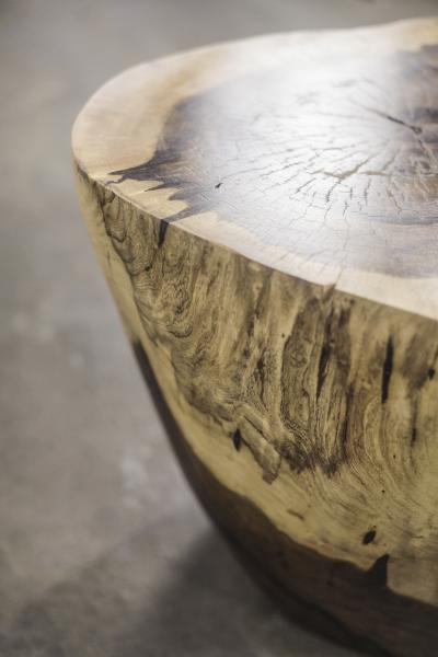  Costantini Design Hand Carved Live Edge Solid Wood Trunk Table 2 by Costantini