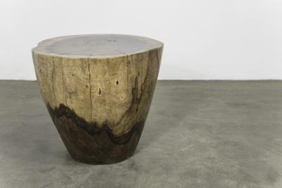  Costantini Design Hand Carved Live Edge Solid Wood Trunk Table 20 by Costantini