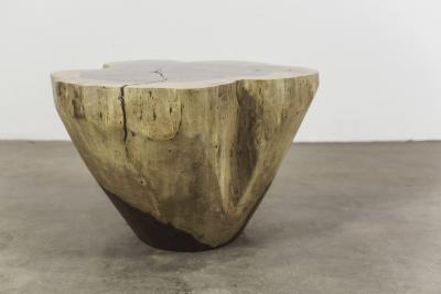  Costantini Design Hand Carved Live Edge Solid Wood Trunk Table 3 by Costantini