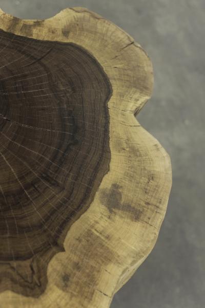  Costantini Design Hand Carved Live Edge Solid Wood Trunk Table 3 by Costantini